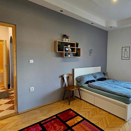 Lovely Central Apartment With Free Parking, Koezponthoz Koezeli 3 Szobas Lakas Дьєр Екстер'єр фото