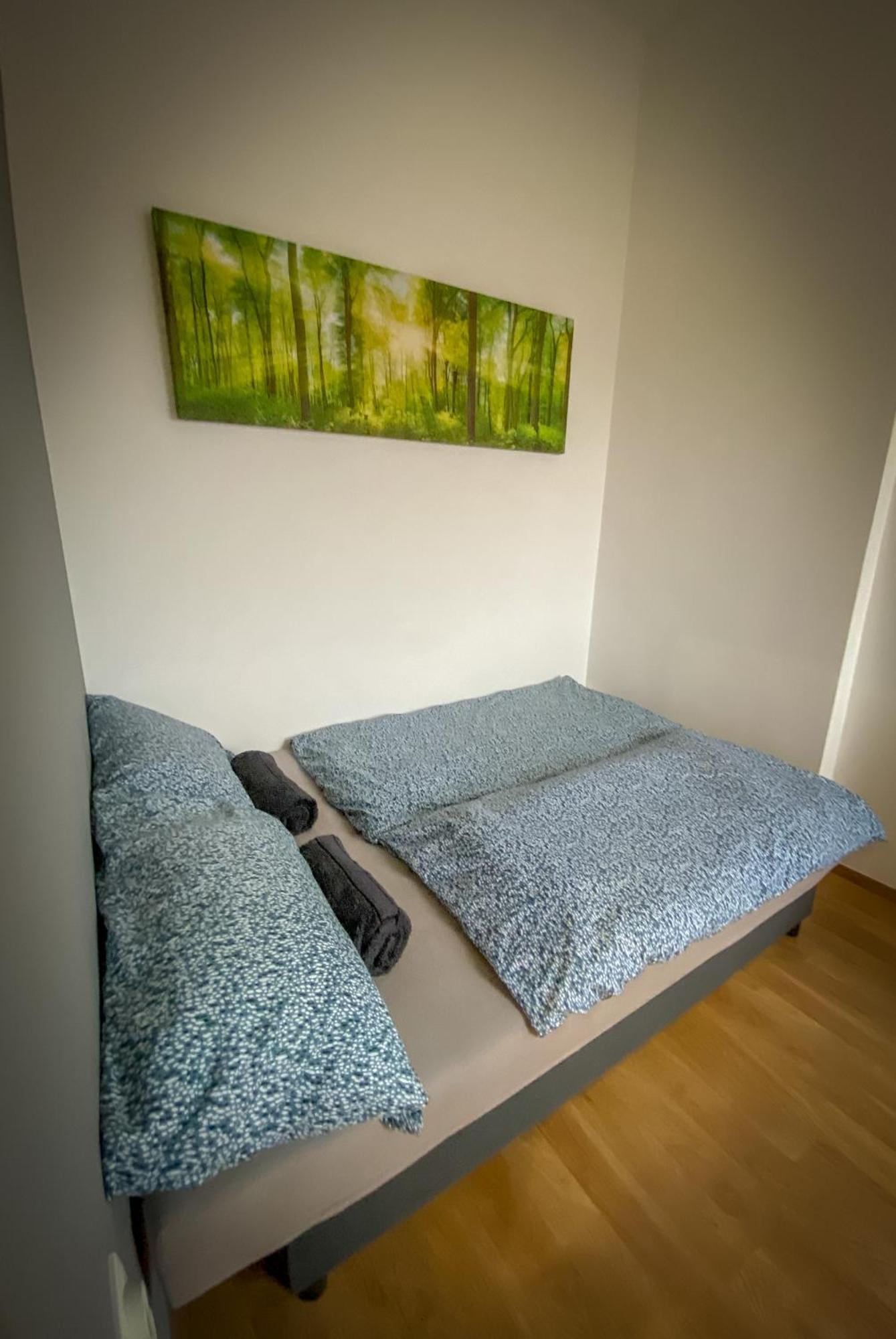 Lovely Central Apartment With Free Parking, Koezponthoz Koezeli 3 Szobas Lakas Дьєр Екстер'єр фото